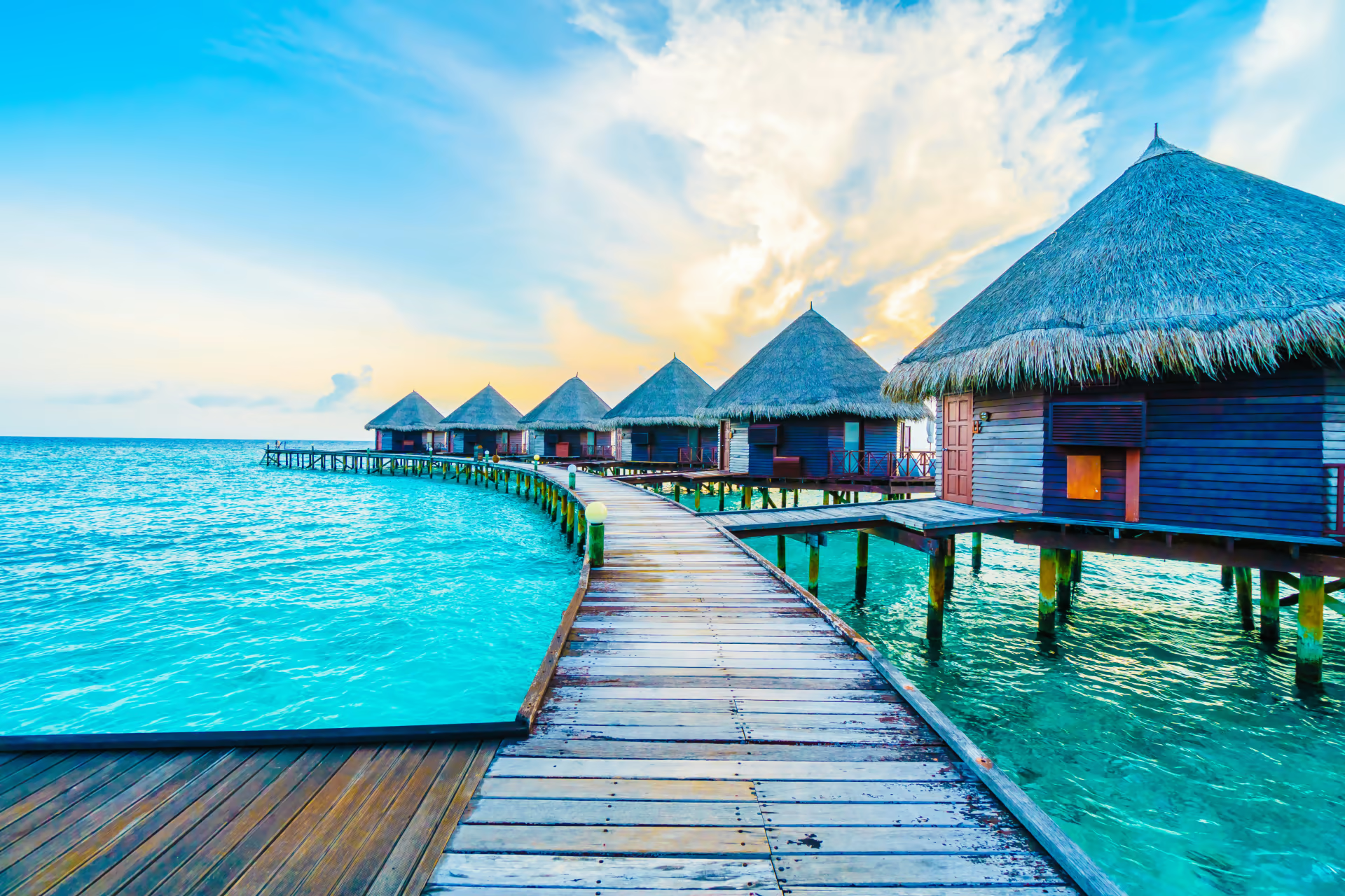 travel agency